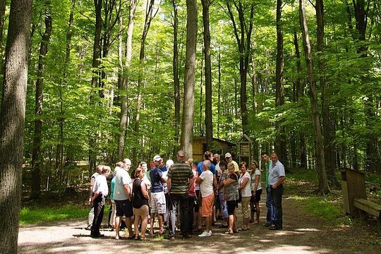 Tour image 1