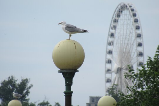Tour image 10