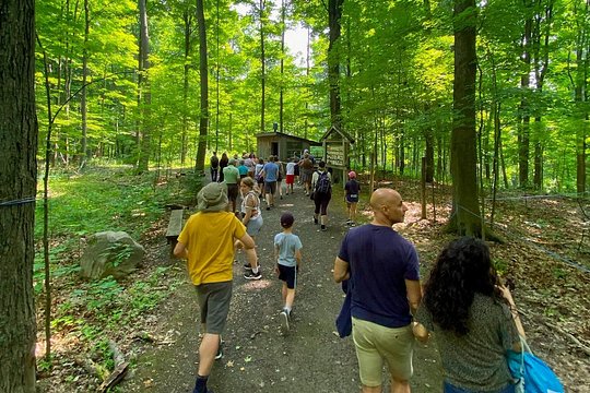 Tour image 7